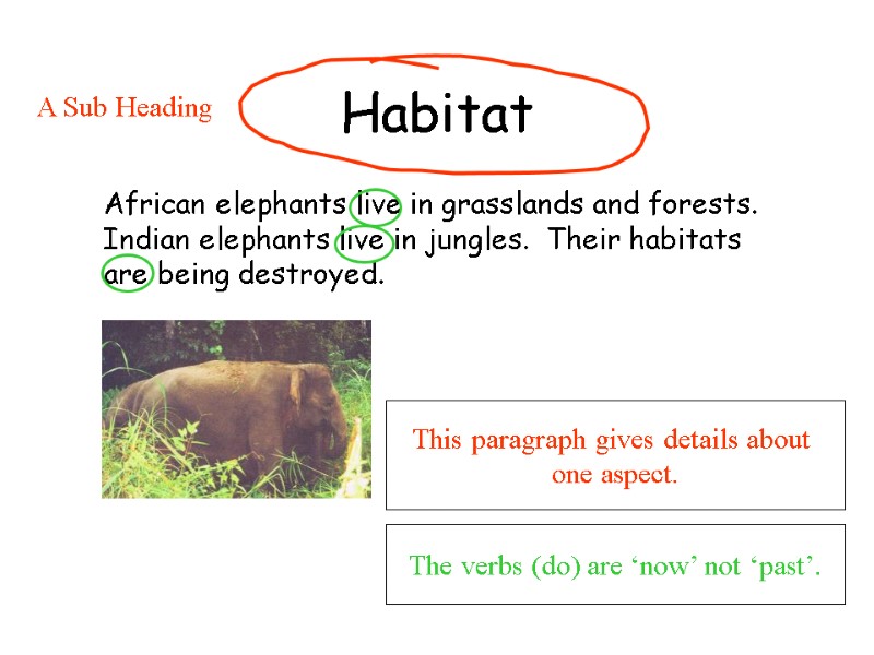 Habitat  African elephants live in grasslands and forests.  Indian elephants live in